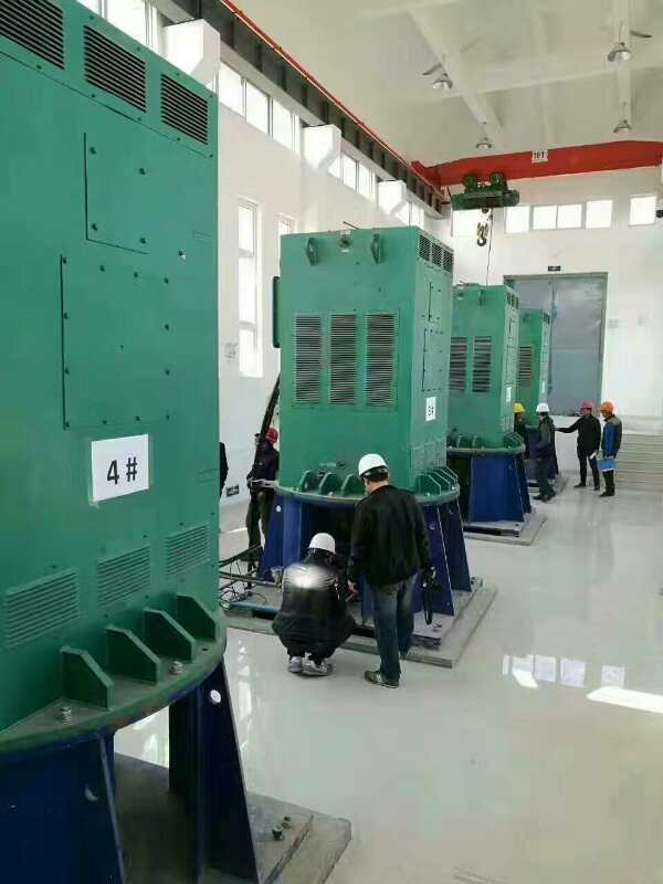 吉林某污水处理厂使用我厂的立式高压电机安装现场